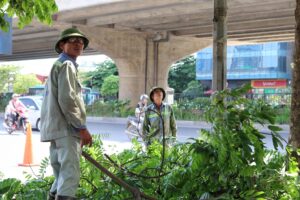 Dịch vụ cưa cây quận 7