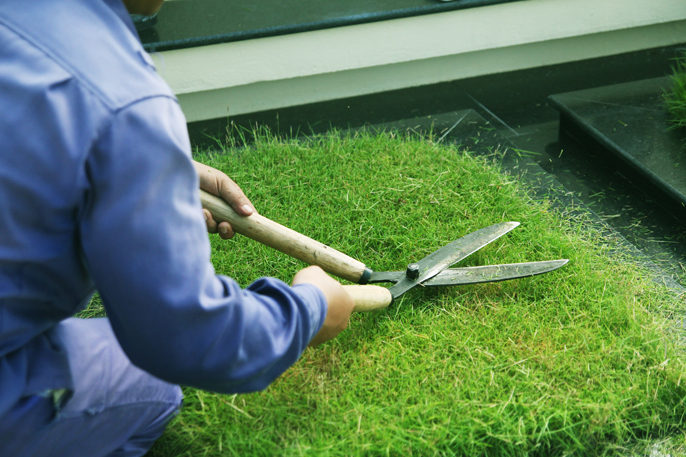 DỊCH VỤ CẮT CỎ TẠI TPHCM