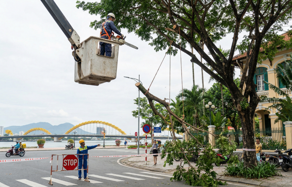 DỊCH VỤ CƯA CÂY QUẬN GÒ VẤP