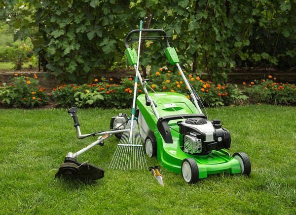 DỊCH VỤ CẮT CỎ TẠI TPHCM