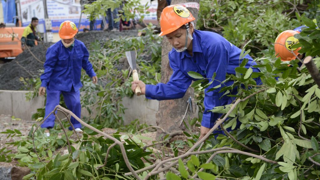 CHẶT CÂY XANH GÒ VẤP