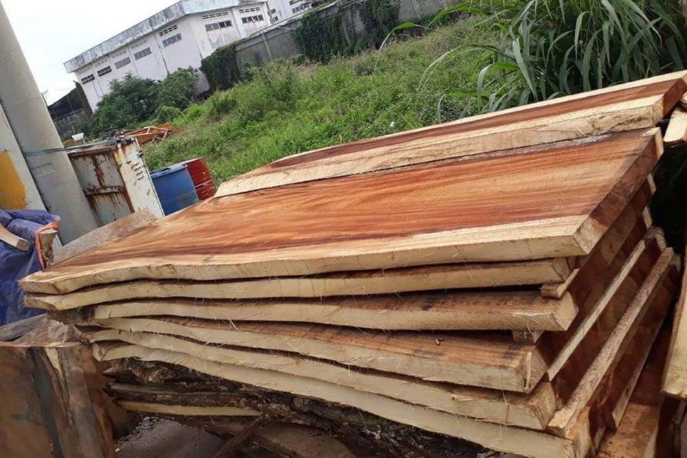 Mua gỗ cây me tây