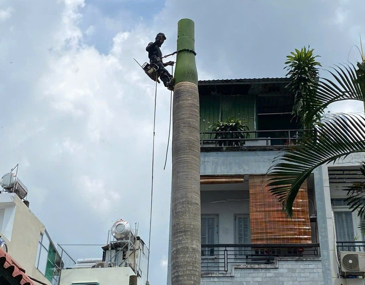 z7149643945965_e927877b0eab9e21afb4d0cad4116a22