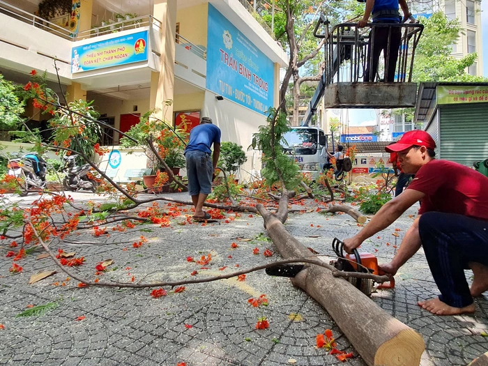 DỊCH VỤ CƯA CÂY TẠI THỦ ĐỨC