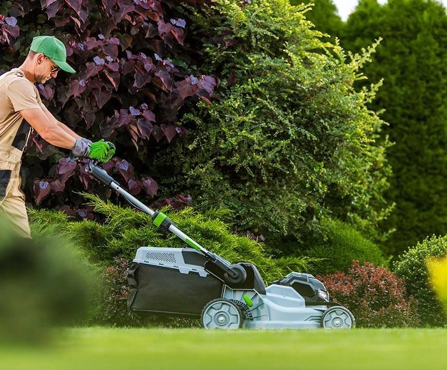 DỊCH VỤ CẮT CỎ TẠI TPHCM